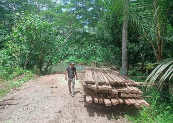 Barang bukti puluhan kubik kayu yang di amankan