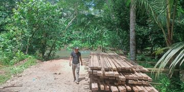 Barang bukti puluhan kubik kayu yang di amankan