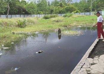 Pemandangan di halaman belakang SDN 205 Halsel