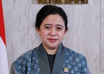 Ketua DPR RI Dr. (H.C) Puan Maharani (Foto : Istimewa)