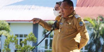 Bupati Halmahera Selatan, H. Usman Sidik (Foto : Ist)
