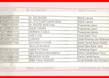 Data 13 ASN di Halsel yang Diberhentiakn