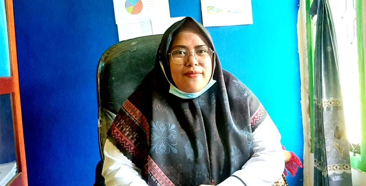 Mariani Oktaviana, Kasi TKA Dinas P3AKB Halsel