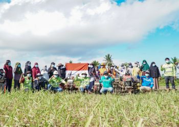 Kelompok Tani Akelamo Jaya Desa Kawasi Obi Halsel Peringati Hari Krida Pertanian
