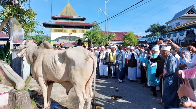Hewan Qurban Dari Presiden diserahkan Gubernur Malut di Masjid Sultan Bacan (Ist)
