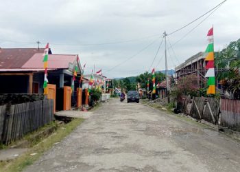 Ruas Jalan Di Laiwui Kecamatan Obi