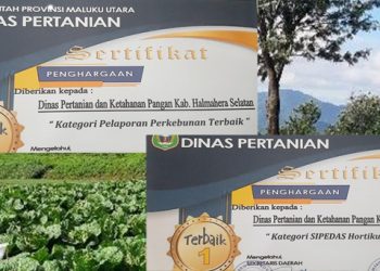 Dinas Pertanian Halsel Raoh Penghargaaa Sipedas