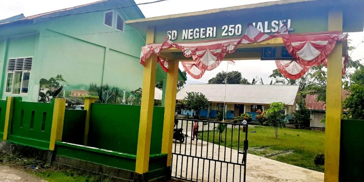 SDN 250 Halsel