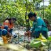 Kegiatan penanaman bibit mangrove di kawasan pesisir Desa Soligi Obi