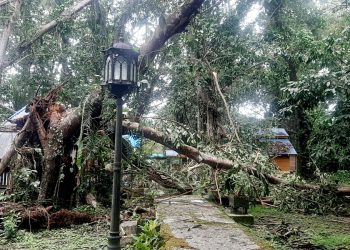 Kondisi rumah adat di kawasan hutan karet Labuha memprihatinkan