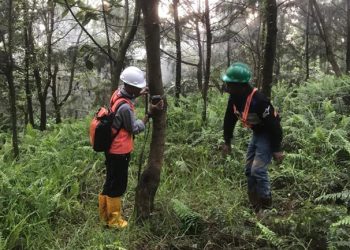 Pemasangan Camera Trap untuk Mendokumentasikan Flora dan Fauna di Sekitar Area Operasional Perusahaan