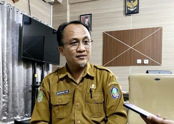 Muhammad Nur, Kadis  BPKAD Halsel