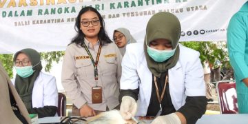 Vaksinasi rabies pada hewan oleh petugas kesehatan Puskesmas Siko Ternate