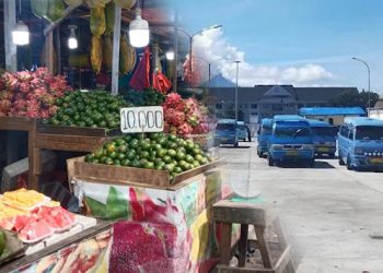 Pasar Buah dan Terminal Gamalama Kota Ternate