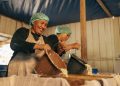 Ibu-ibu anggota kelompok Rumah Usaha Tangguh Ekonomi (RUTE) tengah memproses adonan kedelai untuk pembuatan tahu di Desa Soligi, Halmahera Selatan