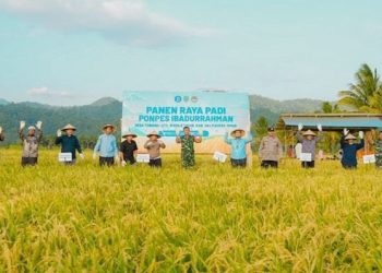 Panen Raya Padi, BI Malut bersama Pemkab Halmahera Timur