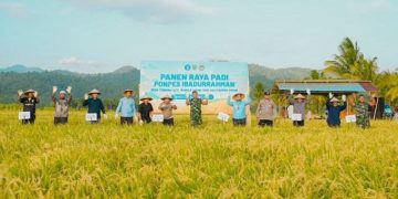 Panen Raya Padi, BI Malut bersama Pemkab Halmahera Timur
