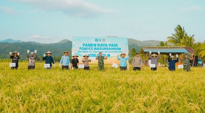 Panen Raya Padi, BI Malut bersama Pemkab Halmahera Timur