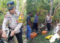 Kapolsek Patani, Ipda, Mustakim Puasa Bersama Karyawan Telkomsel Lakukan Pengecekan Kabel Jaringan Telkomsel yang terputus